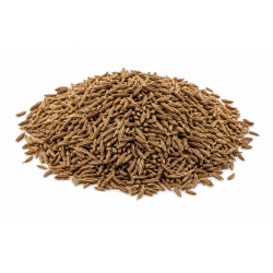 Cumin Seed Whole