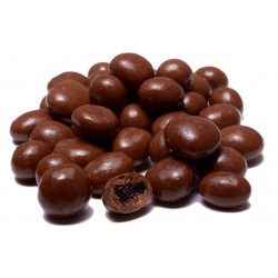 Raisins in Sugar Free Chocolate