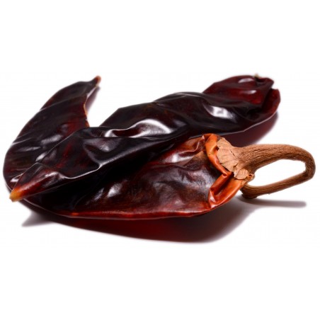 guajillo chili